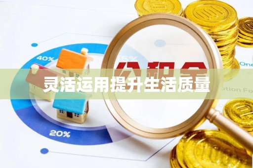 宝应县灵活运用提升生活质量